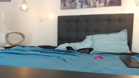 Snapshot of mysterious_girl42 chatting on 01-05-25, 01:26 No Name online show from 01-05-25, 01:26