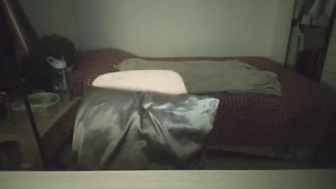 Snapshot of mysteriousbaby18 chatting on 02-02-26, 11:36 Demi online show from 02-02-26, 11:36