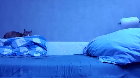 n3philim999 online show from 10-12-25, 10:09