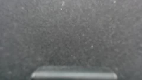 naise online show from 01-18-25, 07:59