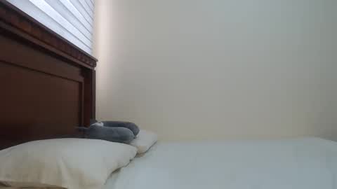 Snapshot of nala_foster chatting on 01-31-25, 04:38 Nala online show from 01-31-25, 04:38