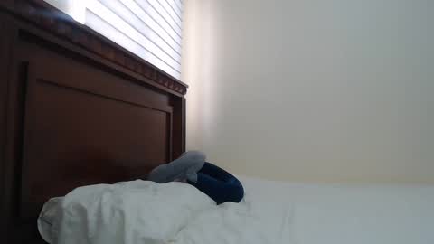 Snapshot of nala_foster chatting on 02-18-25, 03:10 Nala online show from 02-18-25, 03:10