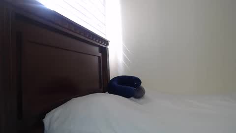 Snapshot of nala_foster chatting on 02-23-25, 02:46 Nala online show from 02-23-25, 02:46