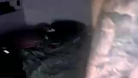 Snapshot of nancyngeorge chatting on 06-15-26, 01:57 nancy n george online show from 06-15-26, 01:57