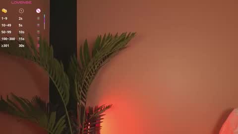 nanis_dash online show from 12-20-25, 07:32