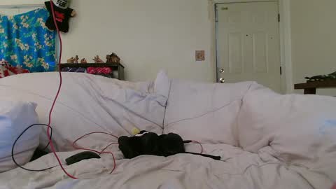 Nanna Baldur online show from 12-17-24, 08:32