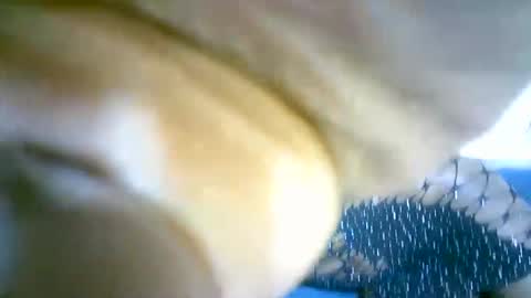 Snapshot of nastyafrika chatting on 09-13-25, 04:34 Marie online show from 09-13-25, 04:34