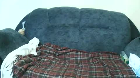 nastylily1 online show from 01-17-26, 07:02