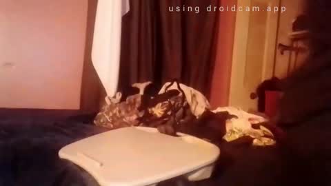 nathanbutler0 online show from 11-01-25, 02:52