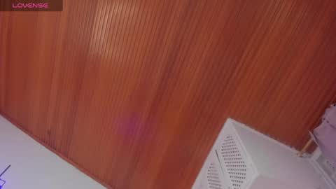 Snapshot of nathyy_garcia chatting on 01-31-25, 06:57 Nathyy online show from 01-31-25, 06:57