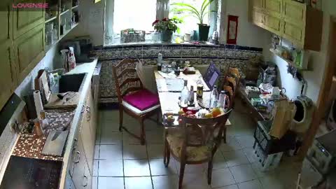 Nature online show from 04-16-26, 10:27