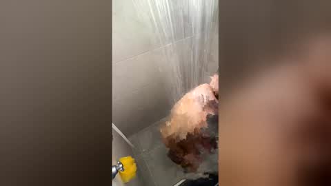 Joyci Lima online show from 03-23-26, 01:48