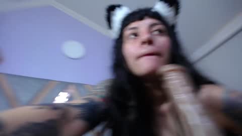 Kitten online show from 01-31-25, 05:32