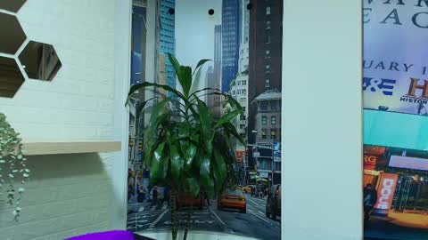 Kitten online show from 03-08-25, 10:32