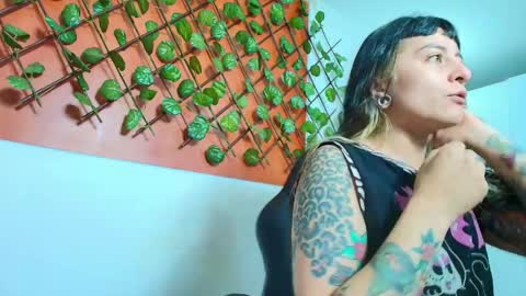 Kitten online show from 04-11-26, 10:52