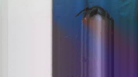 jn online show from 03-28-26, 06:29