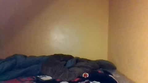 Snapshot of naughtyaura_ebony chatting on 04-26-26, 08:39 Bree doll online show from 04-26-26, 08:39
