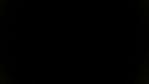 Snapshot of needfullthx chatting on 11-08-25, 07:34 Sebastian online show from 11-08-25, 07:34