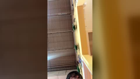 neiilhntrxxx online show from 01-12-26, 09:53