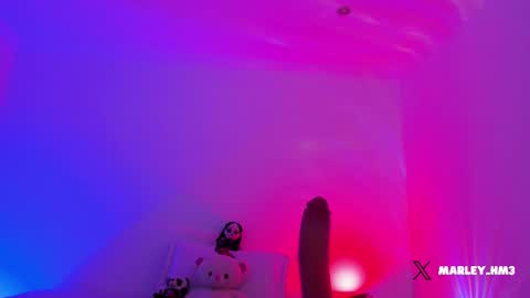 Snapshot of nelav0 chatting on 12-14-25, 10:25 xd online show from 12-14-25, 10:25