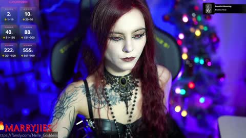 Snapshot of nelle_ chatting on 01-12-25, 12:23    online show from 01-12-25, 12:23