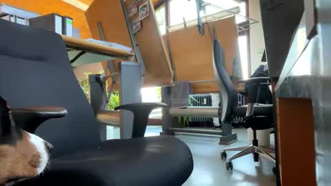 Snapshot of neneo21_ chatting on 01-13-25, 09:19 neneo21_ online show from 01-13-25, 09:19