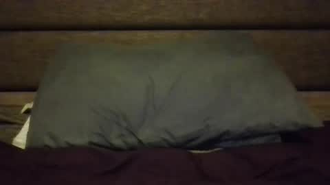 Snapshot of nerfylil2 chatting on 01-08-26, 04:37 Nerfylil online show from 01-08-26, 04:37