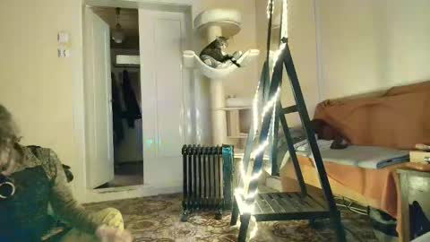 Snapshot of nessieanalemma chatting on 02-05-26, 12:43 nessieanalemma online show from 02-05-26, 12:43