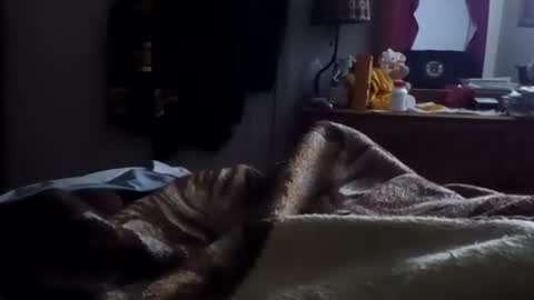 Matt online show from 01-15-26, 10:31