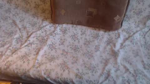 Lilly  online show from 02-10-25, 12:08