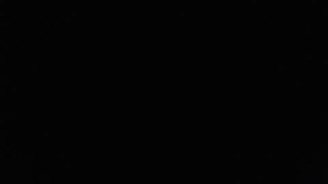 Lilly  online show from 02-23-25, 03:29