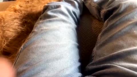 newjerseyhorny online show from 12-15-24, 07:10