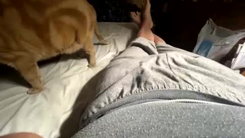 ngianop online show from 04-12-26, 09:25