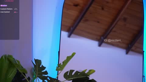 Dani 3 online show from 01-18-25, 09:13