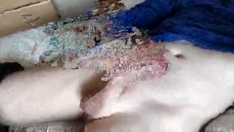 nice_dicknballs online show from 05-02-26, 10:09
