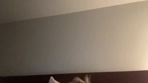 Snapshot of nice_gentle_naughty chatting on 12-13-24, 11:34 Nice Gentle Naughty online show from 12-13-24, 11:34