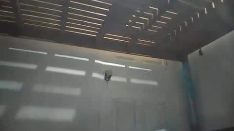 niceasianpussy online show from 05-28-26, 07:55