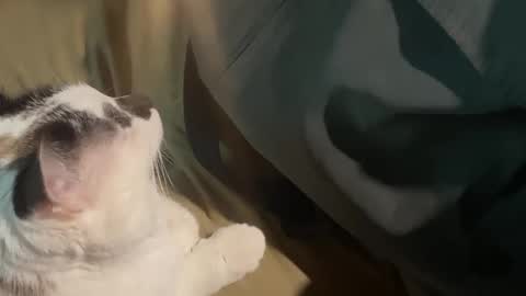 Snapshot of nick_and_bennie chatting on 09-19-25, 02:46 Nick f and Bennie m online show from 09-19-25, 02:46