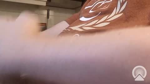 nick_x_b online show from 12-09-24, 05:19