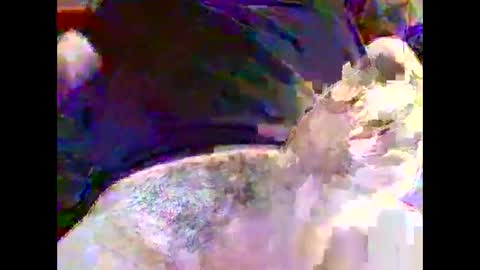 Nickyfruit online show from 10-30-25, 09:22