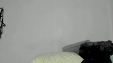 Snapshot of nico_nico_xd chatting on 12-13-24, 06:21 Nico online show from 12-13-24, 06:21