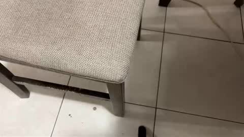 Carlos Nico online show from 03-14-26, 08:31