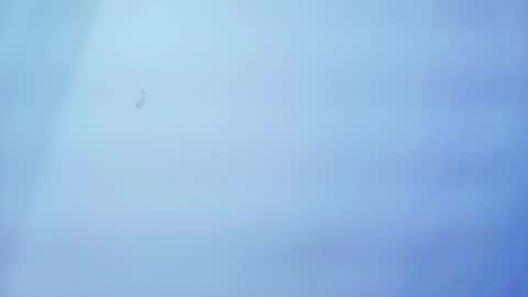 Snapshot of nicole_sounders chatting on 01-19-26, 11:25 Nicolle online show from 01-19-26, 11:25