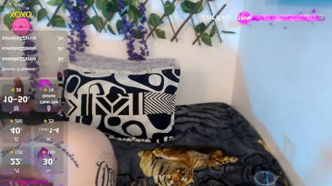 Nicolle ardila online show from 04-11-26, 10:25