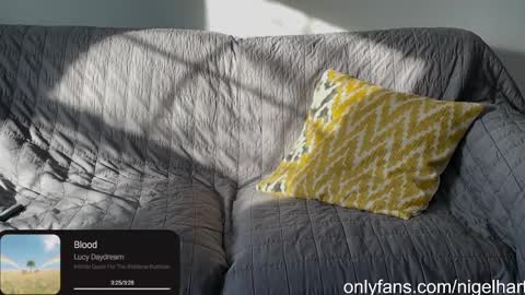 Snapshot of nigelhart chatting on 01-17-25, 03:22 Nigel Hart online show from 01-17-25, 03:22