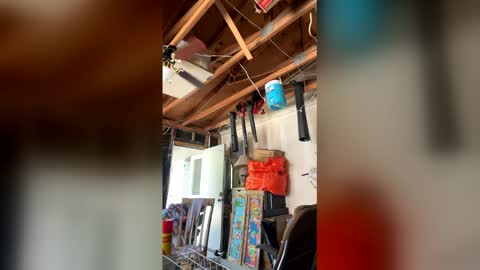 Nikkie online show from 04-03-26, 07:12