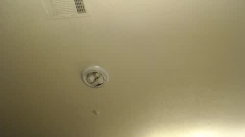 Nikki Mastersgirl1091 online show from 04-10-26, 01:38