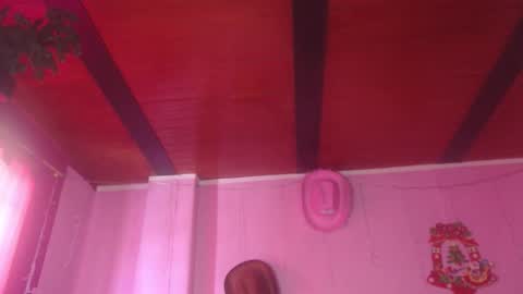 Snapshot of nikkirous_ chatting on 01-11-26, 03:06 Nikkirous online show from 01-11-26, 03:06