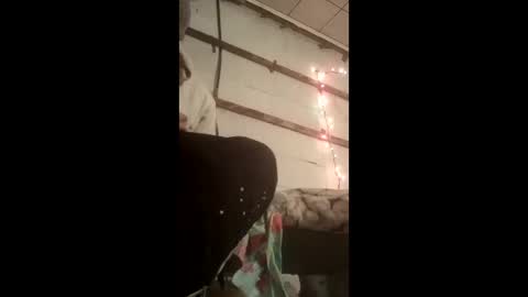 nillapuddin2 online show from 01-19-26, 12:47