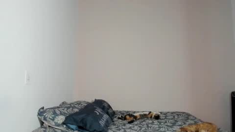 Snapshot of nina_pons chatting on 11-22-25, 08:41 Nina online show from 11-22-25, 08:41